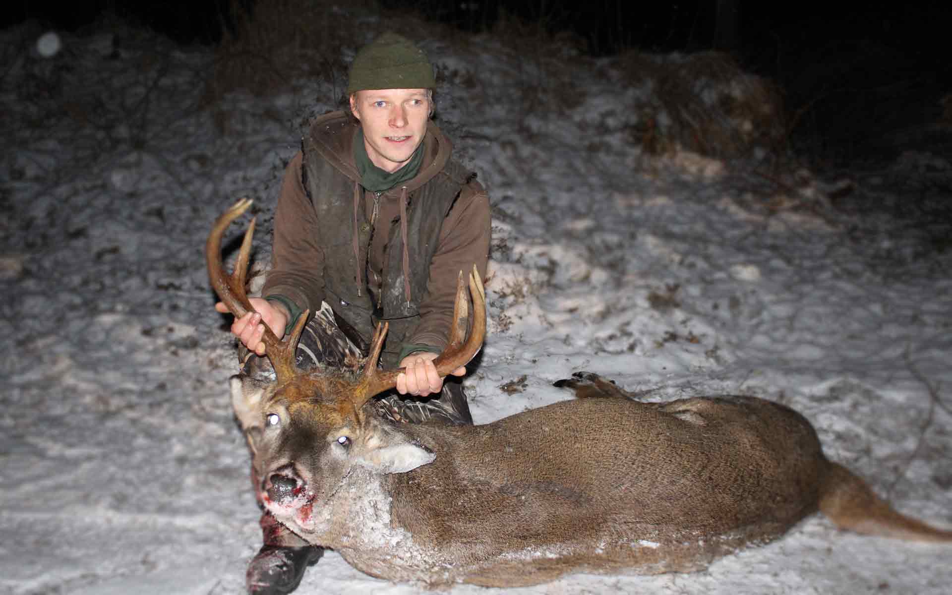 White-tailed-deer-prices-WILDMARK—HUNTING-IN-FINLAND