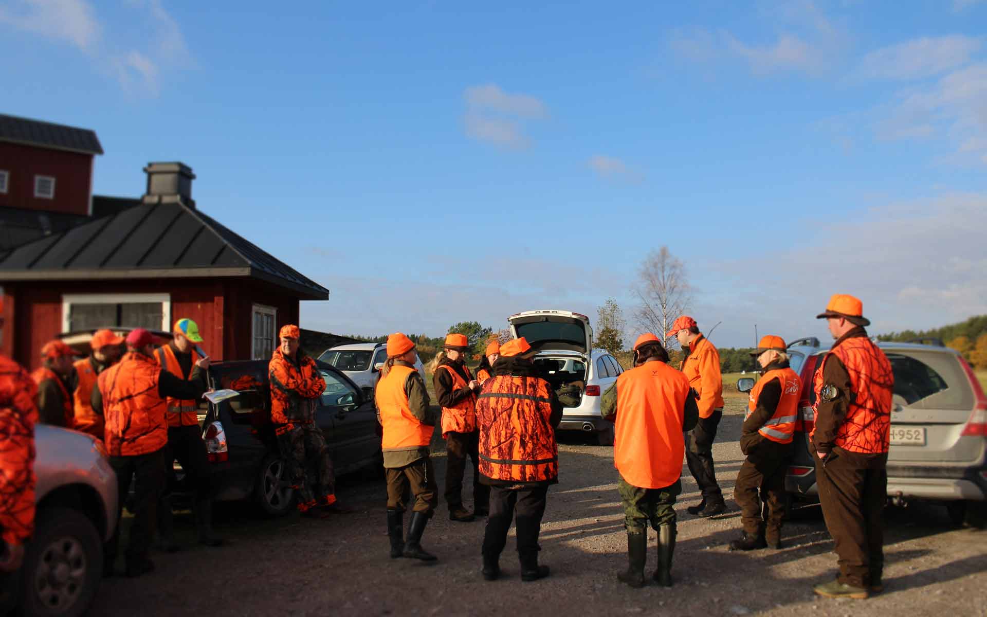 driven-hunt-prices-WILDMARK—HUNTING-IN-FINLAND