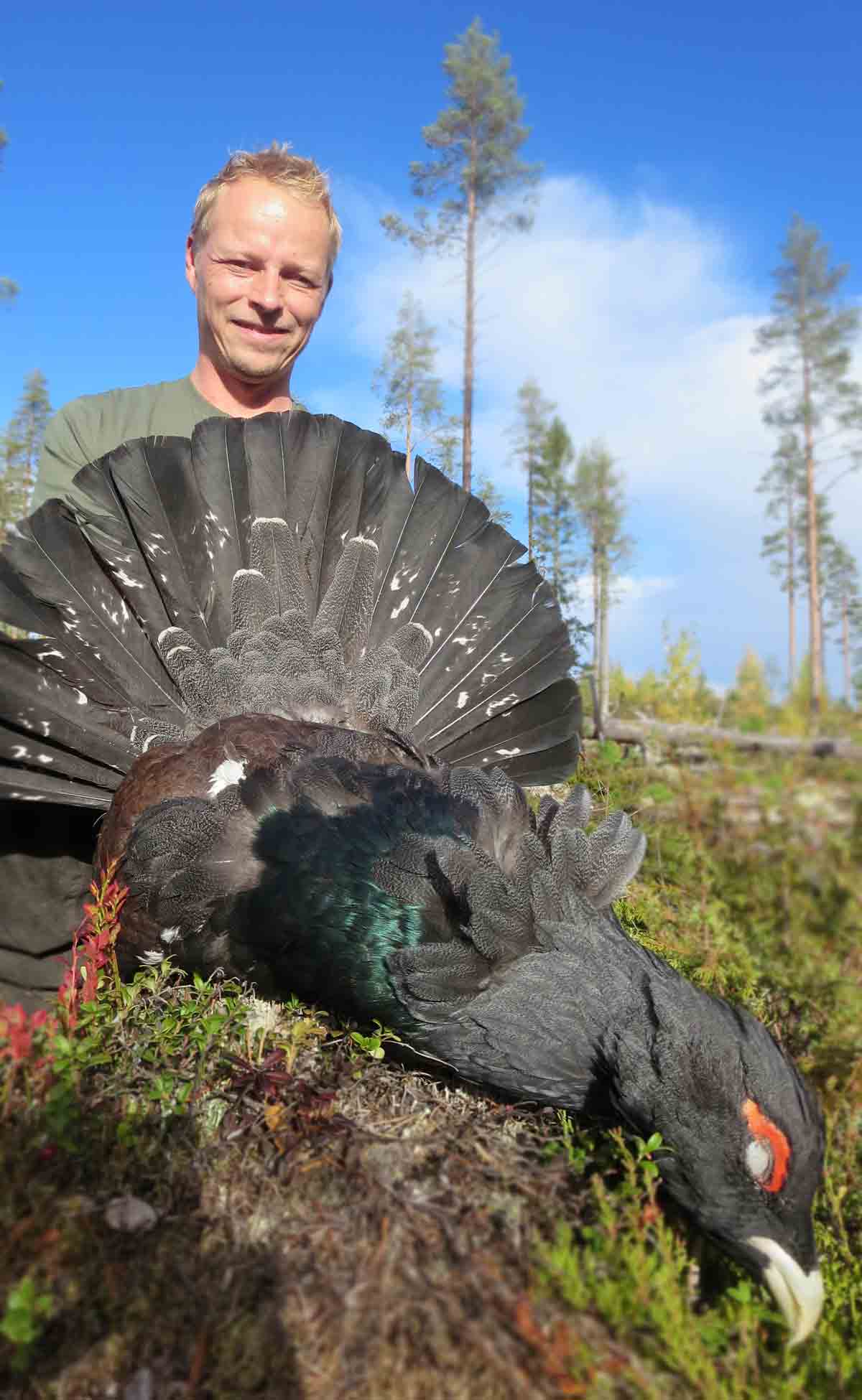 Capercaillie,-blackgrouse,-hazelgrouse-and-fieldfare-Wildmark-Hunting-in-Finland